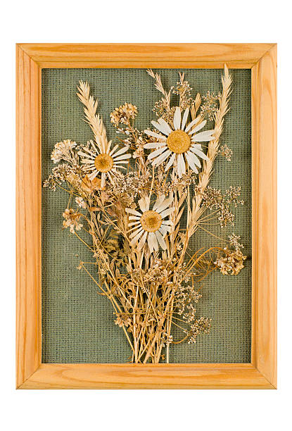 istock bouquet on the picture 93499646