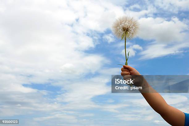 Grande Blowball Del Bambino In Mano - Fotografie stock e altre immagini di Bambino - Bambino, Bebé, Bianco