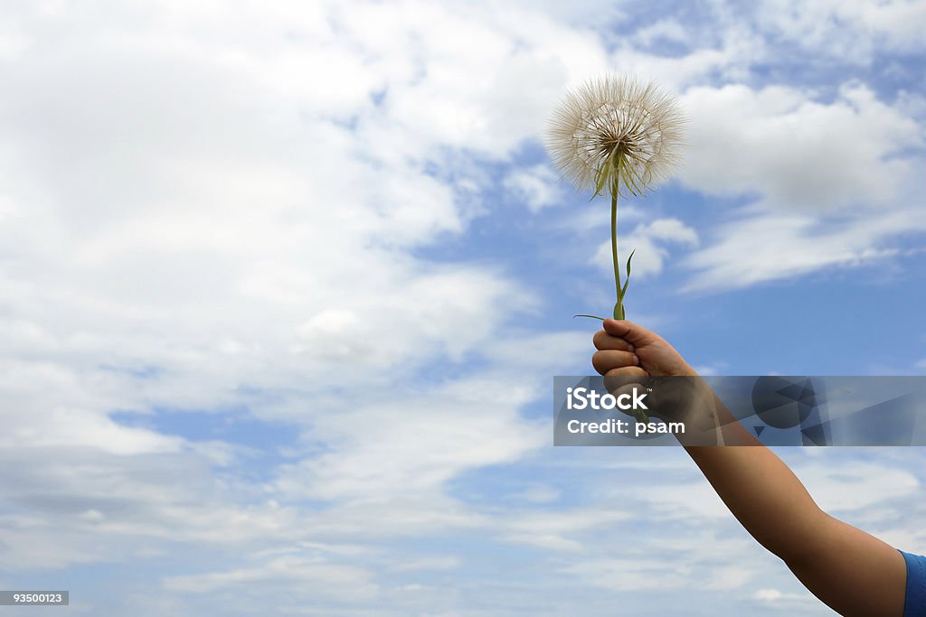 Grande blowball mão de Criança - Royalty-free Azul Foto de stock