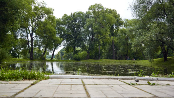 istock Pond in the city Park 935023316