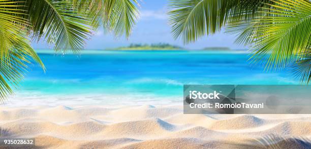 ヤシの葉と楽園の島熱帯砂 - 浜辺のストックフォトや画像を多数ご用意 - 浜辺, 夏, 背景