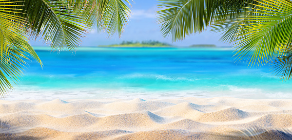 Summer Background - Palm Beach With Caribbean Sea
