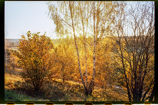 imperfect color film scan from old analog camera with dust and scratches. with black frame from negative. beautiful forest in autumn colors