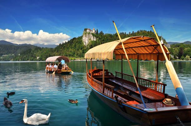 tradicional pletna de barco no lago com cisnes. no fundo é o famoso castelo velho no penhasco. sangrei lago eslovênia, europa - santa maria church - fotografias e filmes do acervo