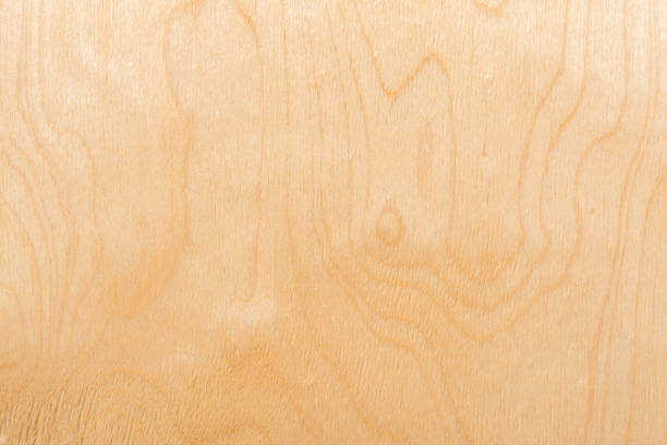 istock light texture of birch plywood, abstract background 935046648