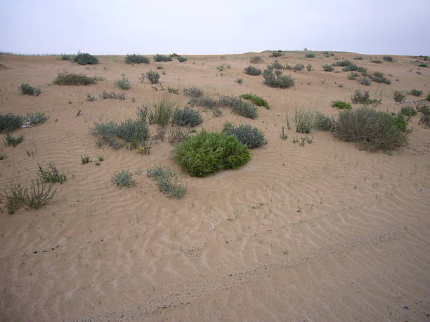 sand stock photo