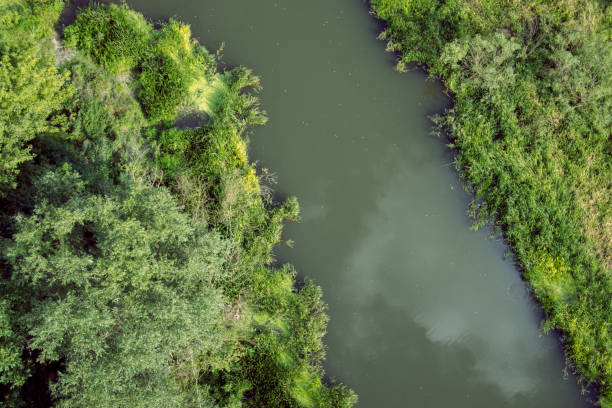 vista aérea do prado verde e rio - amazonas state fotos - fotografias e filmes do acervo