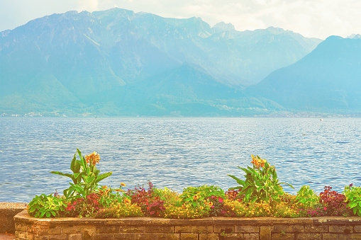 Nature Geneva Lake in Vevey Switzerland