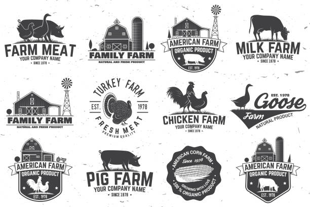 미국 농장 배지 또는 레이블 - pig piglet butcher ranch stock illustrations