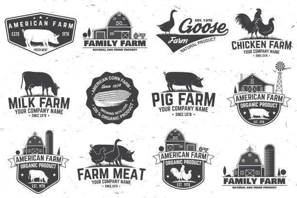 American Farm Badge or Label. Vector illustration American Farm Badge or Label. Vector illustration. Vintage typography design with chicken, pig, turkey, cow and farm house silhouette. Elements on the theme of the milk, pork and chicken farm business goose meat illustrations stock illustrations