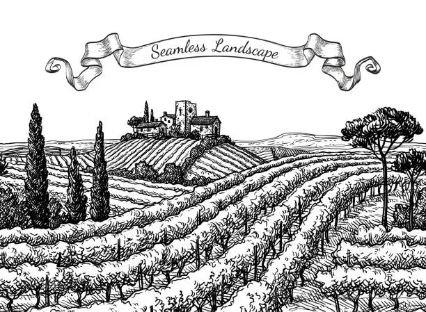 Vector illustration of Vineyard seamless landscape.