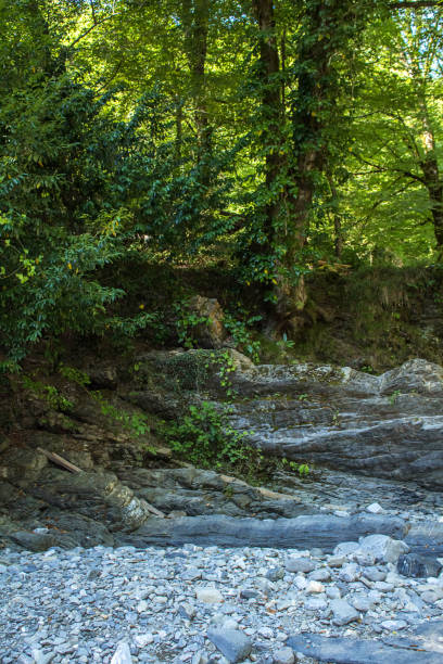 istock Mountain stream is washed by sharp rocks of the mountain 935055448
