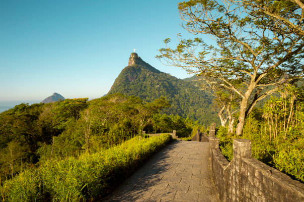 panorama del bosque de tijuca y la montaña del corcovado en río de janeiro, brasil - christ the redeemer rio de janeiro brazil corcovado fotografías e imágenes de stock