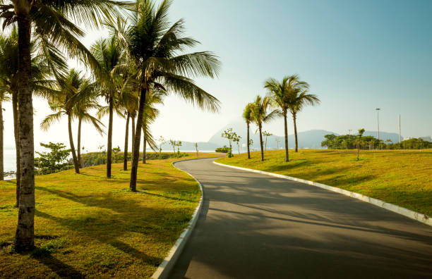 park aterro do flamengo in rio de janeiro, brasilien - brazil bicycle rio de janeiro outdoors stock-fotos und bilder