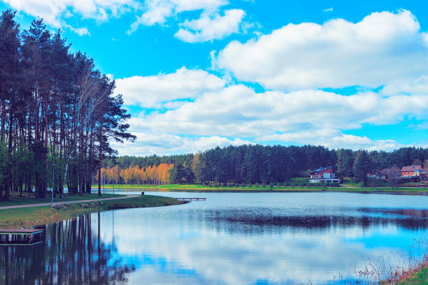 istock Druskonis Lake and nature in Druskininkai toned 935065208