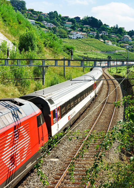 швейцарский бегущий поезд виноградник терраса лаво швейцарии - single line outdoors vertical switzerland стоковые фото и изображения