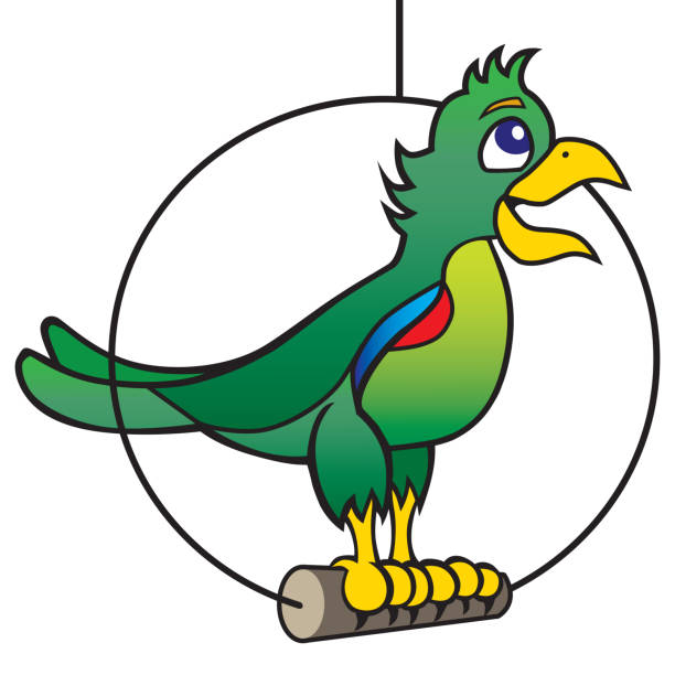 ilustrações, clipart, desenhos animados e ícones de papagaio falador cartoon - parrot multi colored bird perching