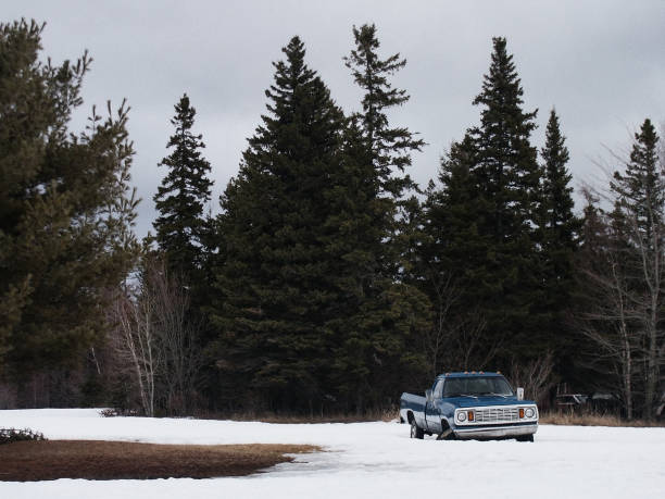 An abandoned vintage pickup truck.