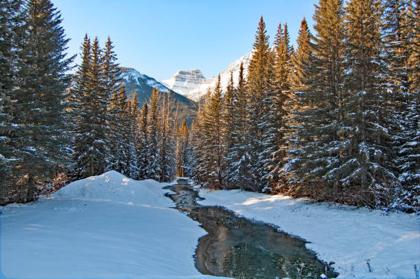 istock Stream near Banff with snow and running water 935078166