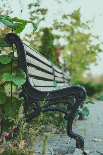 istock Romantic scene with old wooden bench in the evening summer park 935080874