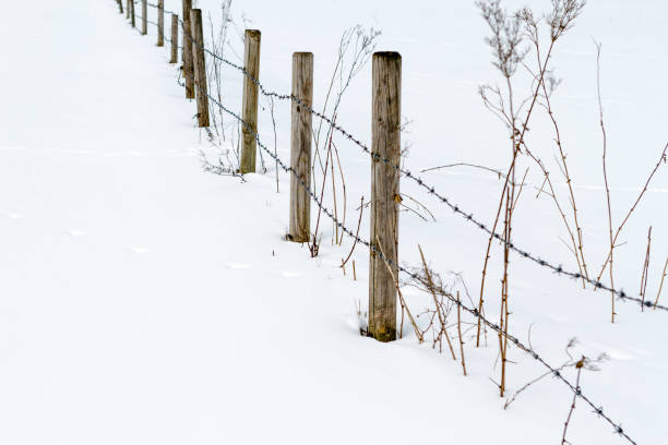 istock Barbed wire fence in winter 935083334