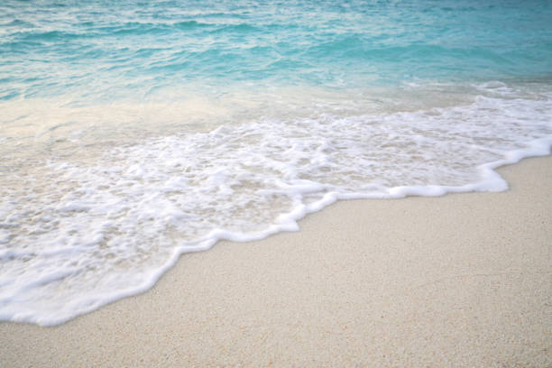 istock Beach and sand with water wave. Sea foam. Sea wave. Nature background. 935109656