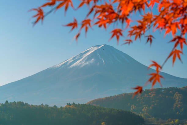 istock Mt. Fuji in autumn with red maple leaves 935110544