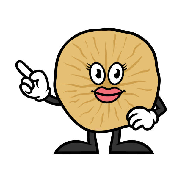 illustrations, cliparts, dessins animés et icônes de banane séchée personnage de dessin animé - abricot sec