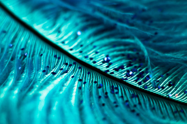 istock macro shot of feather and glitter 935133432