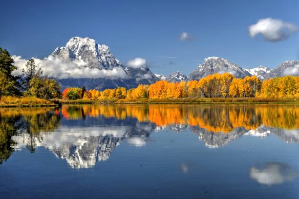 추절 미러 - grand teton national park 뉴스 사진 이미지