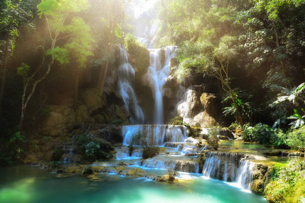 wodospady tat kuang si w luangprabang laos. zachód słońca - beauty in nature clean cool stream zdjęcia i obrazy z banku zdjęć