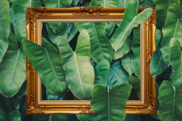 istock Green leaves pattern texture with golden vintage frame 935150774