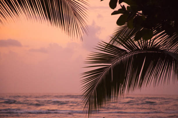istock Puerto Viejo - Costa Rica 935153522