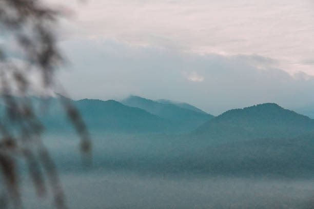 Fog of Bukit Tabur in the morning