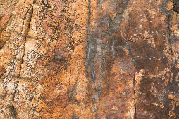 istock Rock on the beach - stone texture close-up 935203568