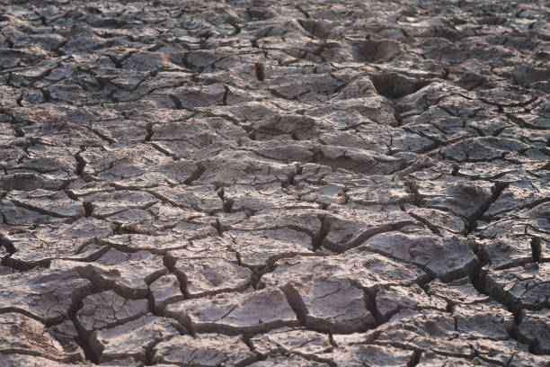 istock Dry soil caused by drought background. 935212138