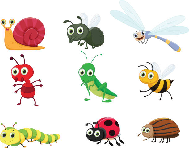 ilustraciones, imágenes clip art, dibujos animados e iconos de stock de linda colección de insectos - mosca insecto ilustraciones
