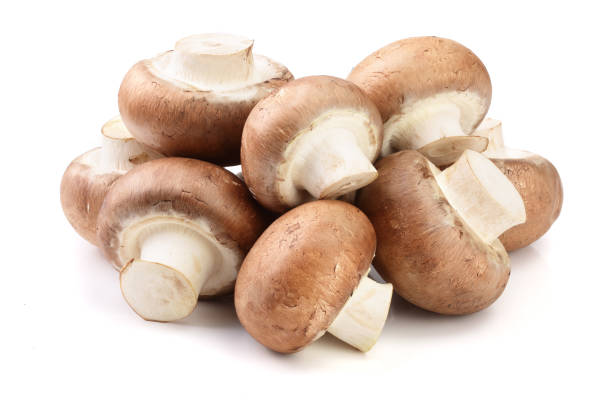 istock Royal Brown champignon isolated on white background 935218000