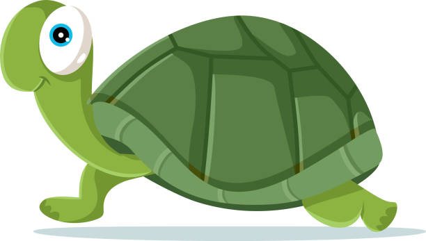 Cute Turtle Vector Cartoon Illustration Stock Illustration - Download Image  Now - Turtle, Tortoise, Walking - iStock