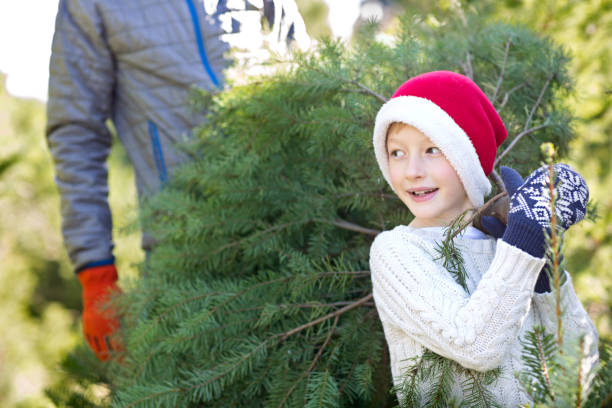 ребенок зимой - noble fir стоковые фото и изображения