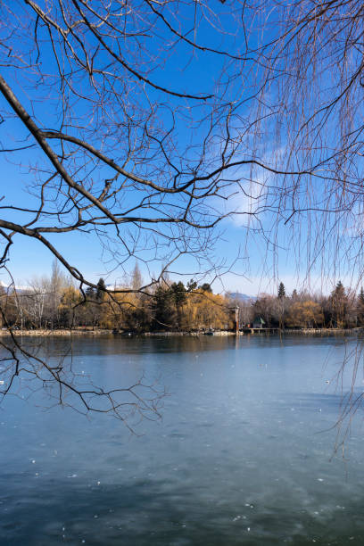 istock Frozen lake water on a winter blue sky and tree branches 935229490