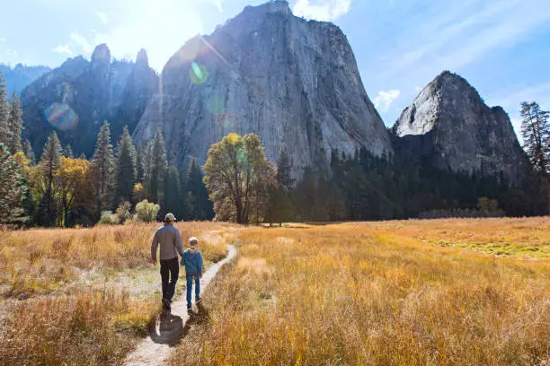 back view of active family of two, father and son, enjoying valley and mountain view in yosemite national park, california, active family vacation concept
