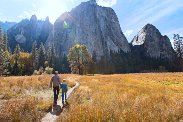 rodzina w yosemite - family walking child park zdjęcia i obrazy z banku zdjęć