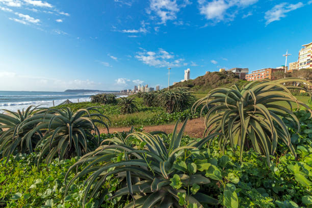 istock Coastal City Landscape in Durban South Africa 935242530