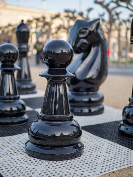 istock Pawn and knight chess pieces in giant chess set 935244848