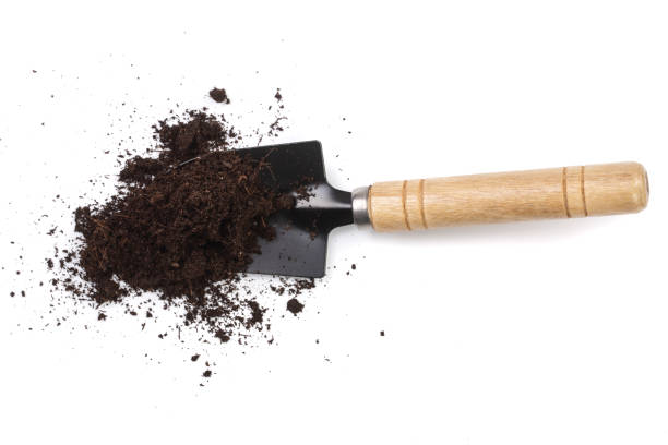 istock garden tools in soil isolated on white background 935251406