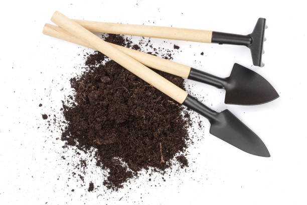 istock garden tools in soil isolated on white background 935251424