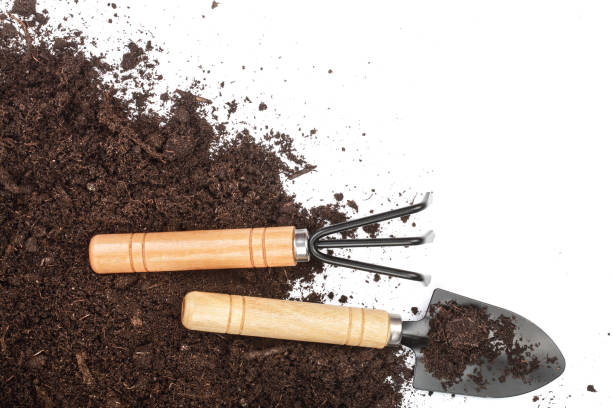 istock garden tools in soil isolated on white background with copy space for your text. Top view 935251446