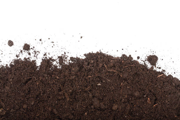 istock Pile heap of soil isolated on white background with copy space for your text. Top view 935251490