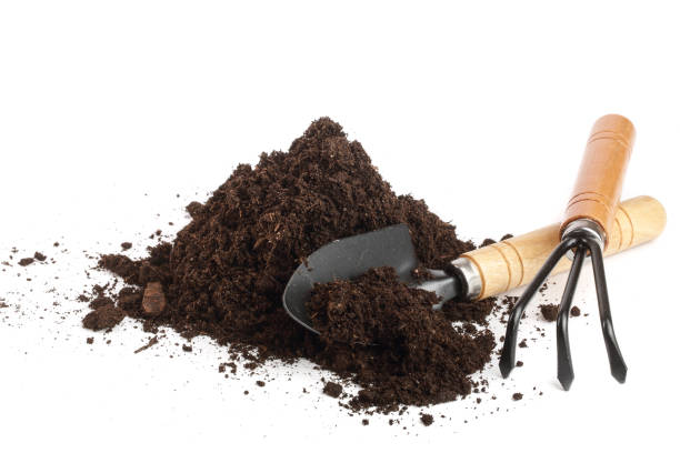 istock garden tools in soil isolated on white background 935254122